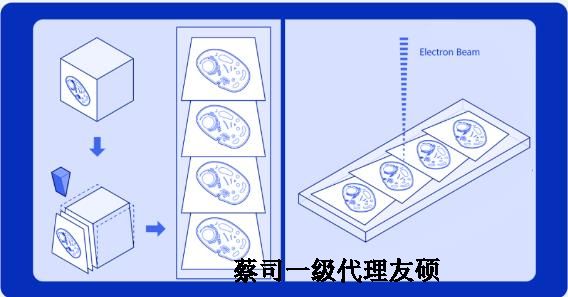 嘉峪关蔡司嘉峪关扫描电镜